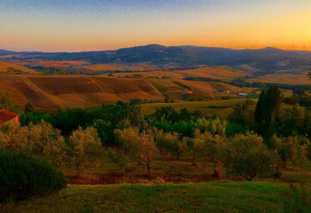 Poggio Magginga Apartamento Terricciola Exterior foto