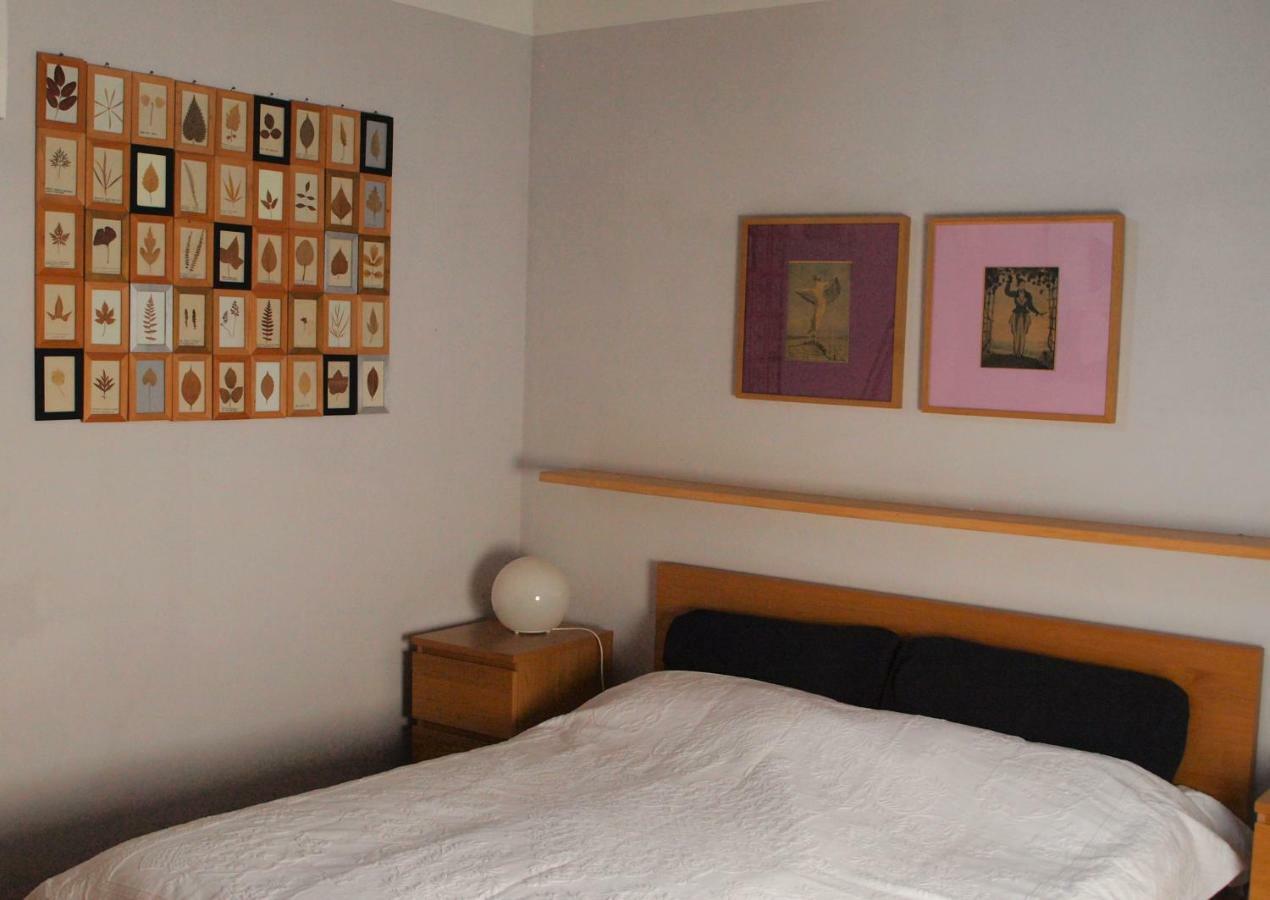 Poggio Magginga Apartamento Terricciola Exterior foto